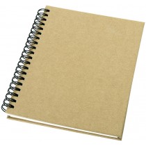 Mendel notebook